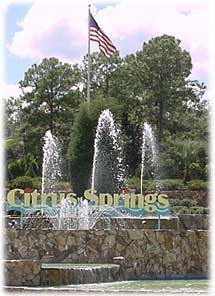 Citrus Springs Fountain