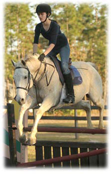 Horse Jumping in Pine Ridge
