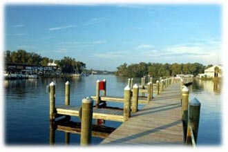Kings Bay - Crystal River Florida